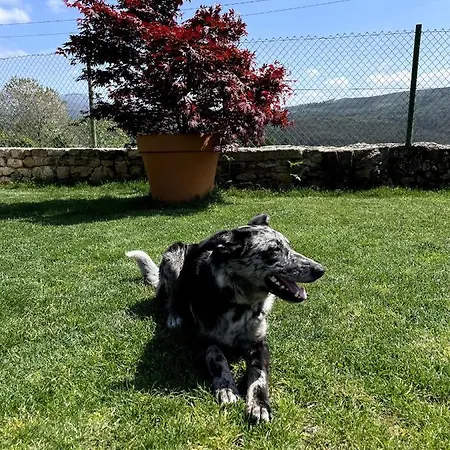 O Balcon Do Oitaven, Vuestra Privada En Galicia Tatil Evi